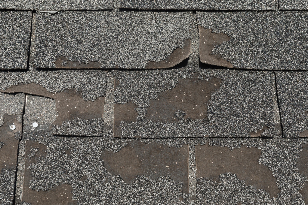 Asphalt roof shingles showing damage and signs of wear.